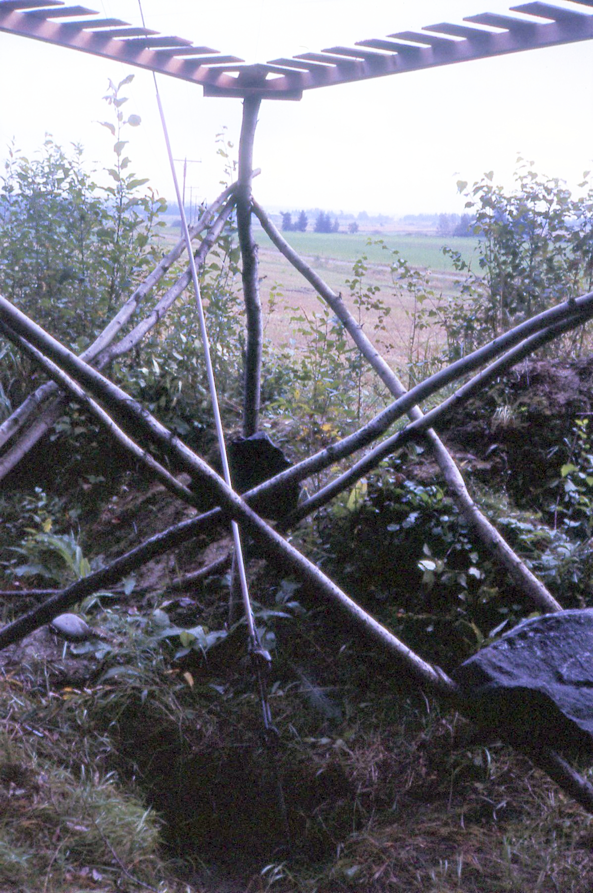Mansikkaloukon mittauspiste 1988